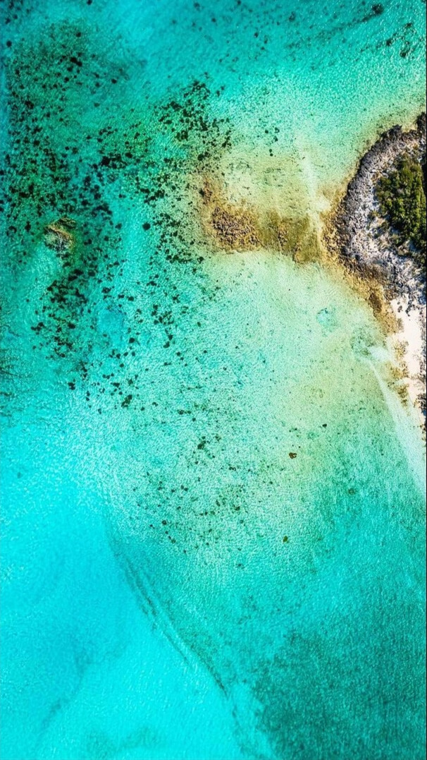 Overhead Shot Of Tropical Shore